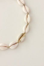 Load image into Gallery viewer, Gold Stripe Cowrie Choker Necklace