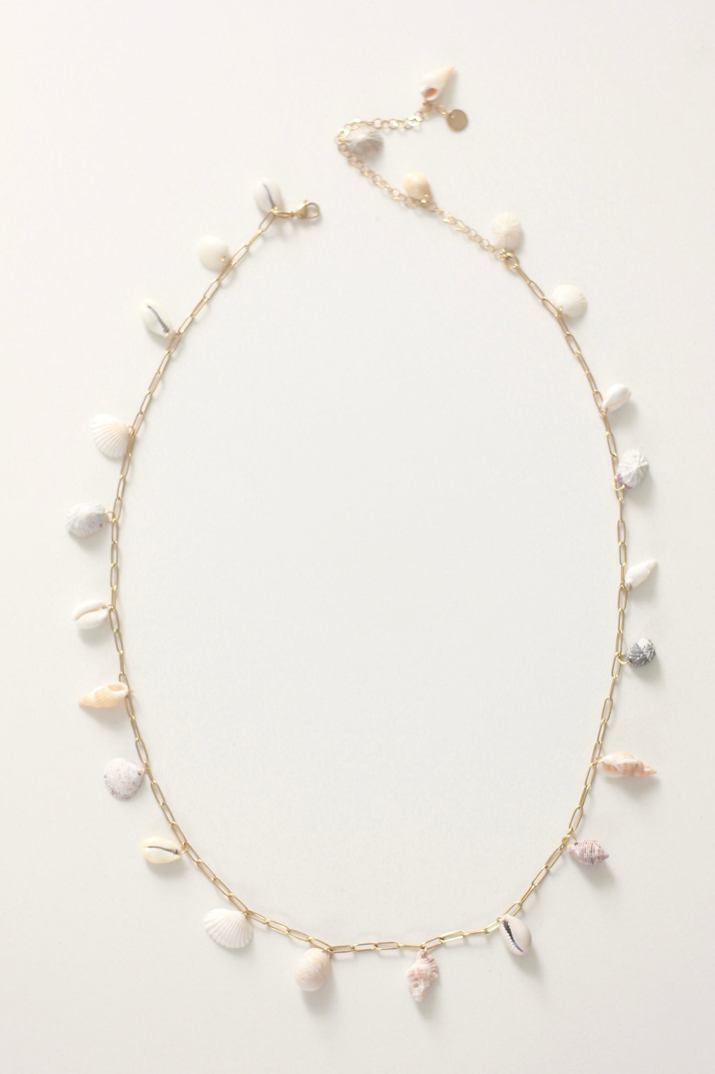 Shell Yeah! Belt 2.0