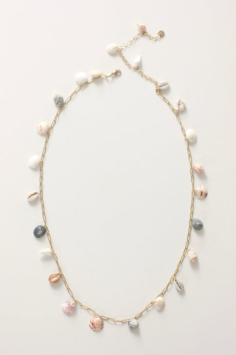 Shell Yeah! Belt 1.0