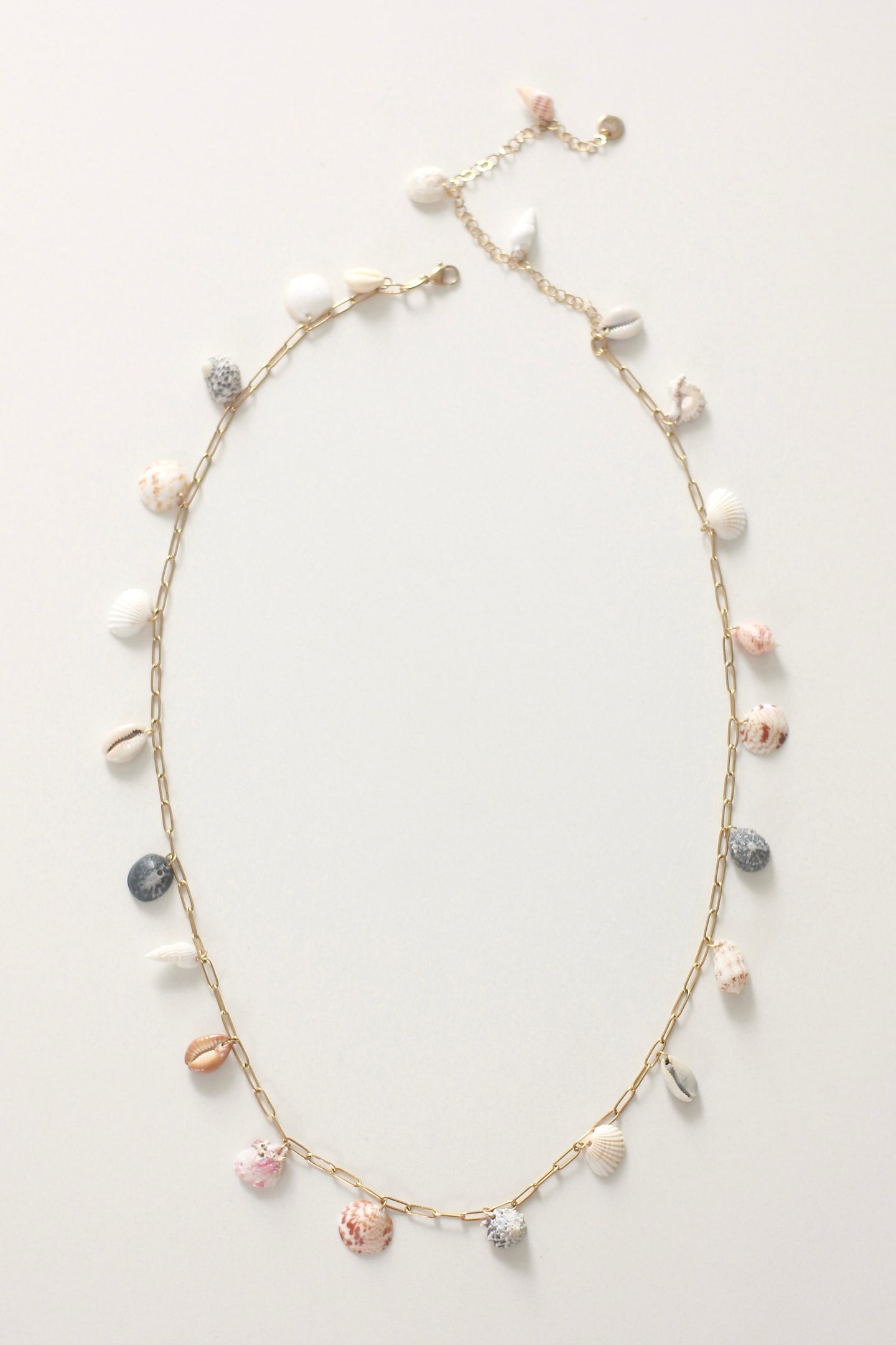 Shell Yeah! Belt 1.0