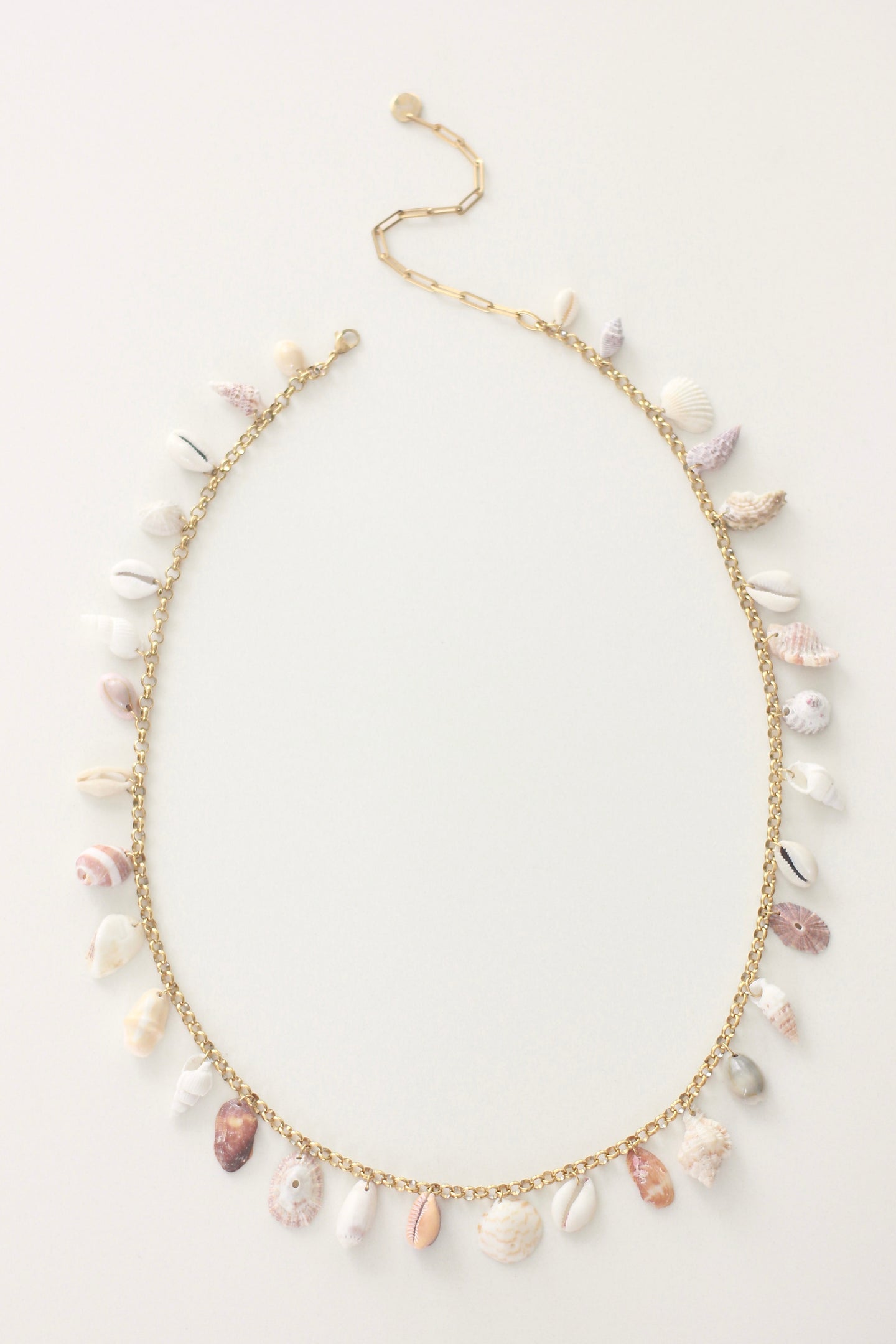 Shell Party Belt