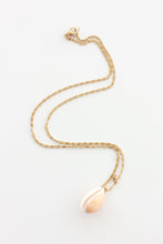 Load image into Gallery viewer, Delicate Cowrie Necklace
