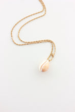 Load image into Gallery viewer, Delicate Cowrie Necklace