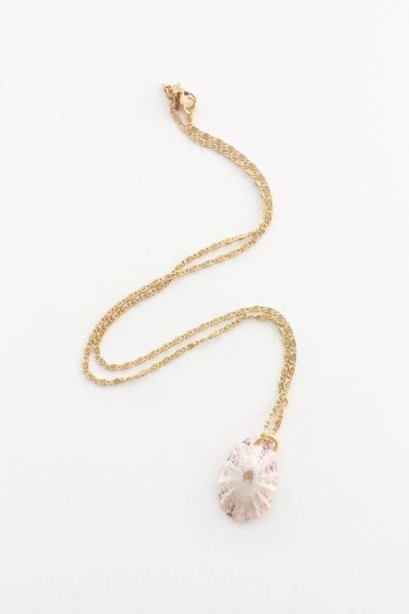Delicate limpet Necklace