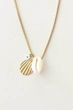 Load image into Gallery viewer, The Lucky Cowrie