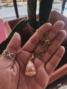 Medium Orange Cone Snail Long Necklace