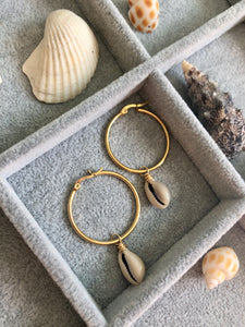 Natural Cowrie Hoop Earrings (gold)