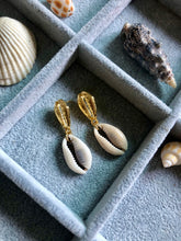 Load image into Gallery viewer, Cowrie Earrings