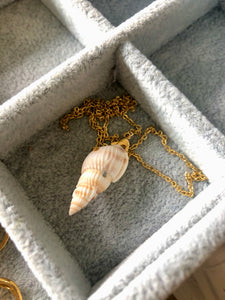 Seashell and Swarovski Short Necklace 1.0